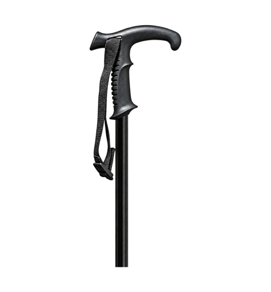 Bastone da escursione telescopico Gastrock – Vario-Combi – vista su fondo trasparente