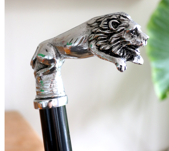 canne lion