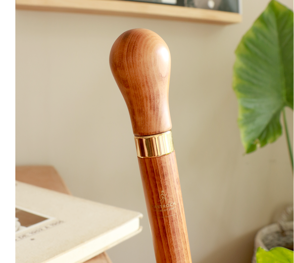bastone da passeggio con flacone segreto